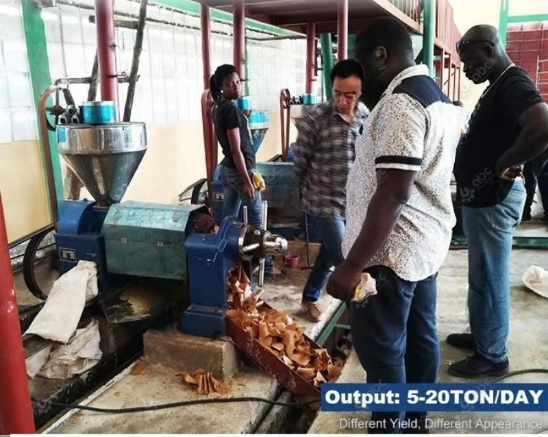 Quality Assurance Cooking Sunf - Home Cooking Oil 评论和价格