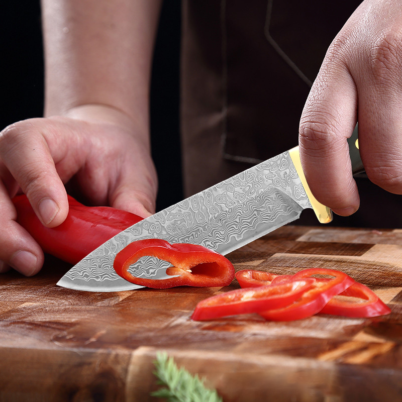 Premium VG10 Damascus Kitchen  - Home Cooking Japanese Food 评论和价格